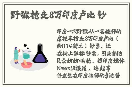 MINUS8法老猫